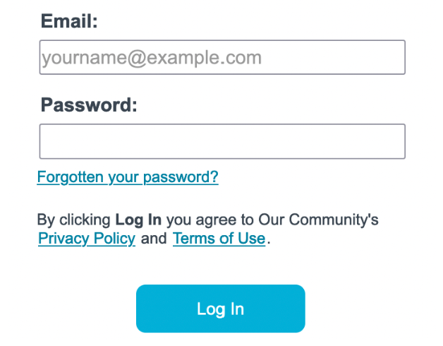 A screenshot of the options under the Login section of the Login page. The image shows the Email field, the Password field, and the 'Log In' button.